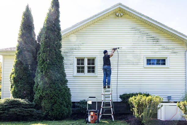 Best Building Exterior Washing  in La Cienega, NM