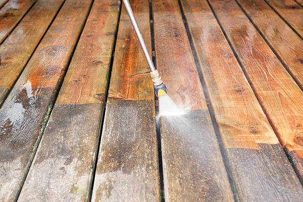 Best Driveway Pressure Washing  in La Cienega, NM